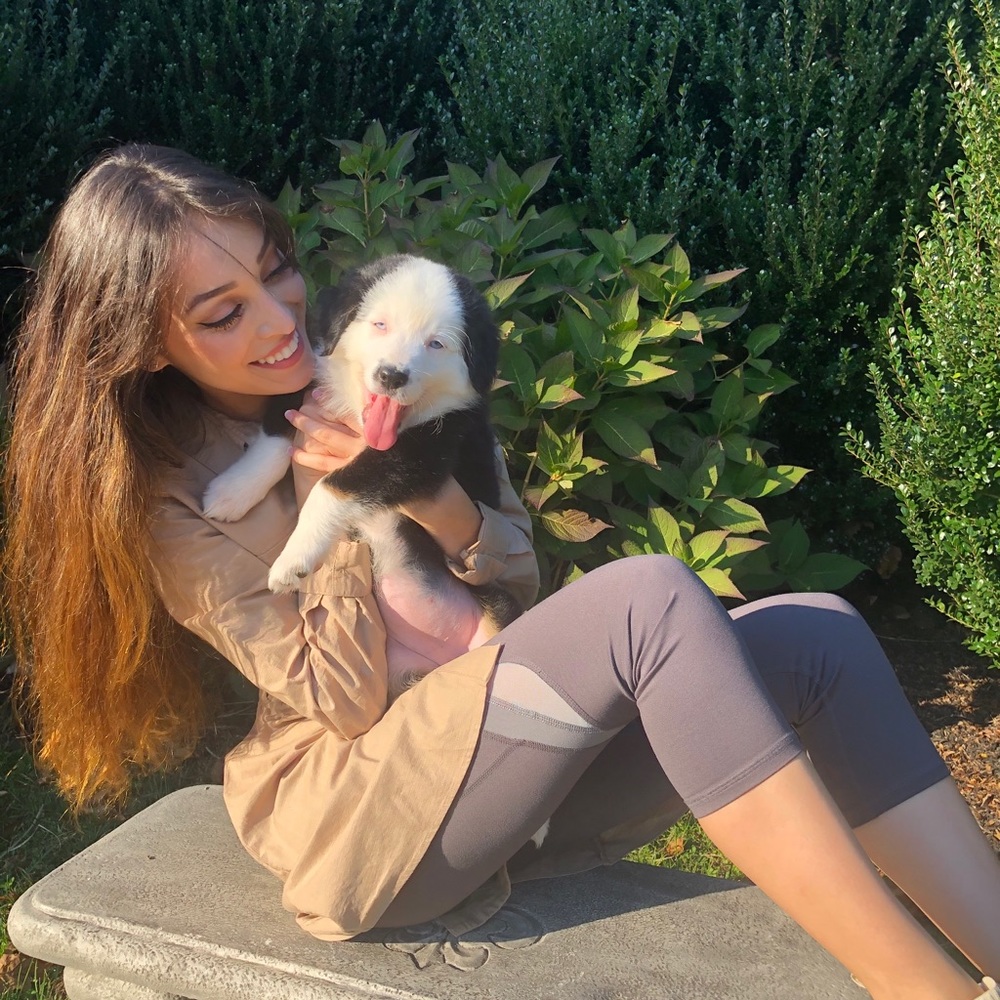 Meet your Posher, Abby